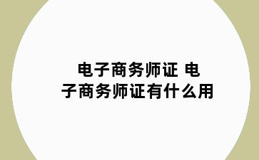 电子商务师证 电子商务师证有什么用